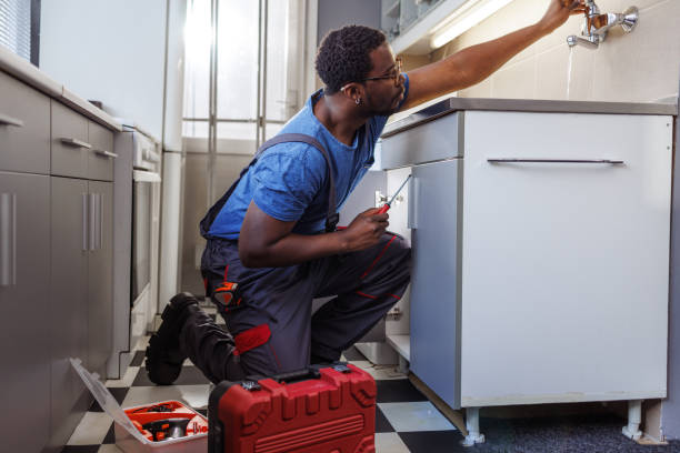 Best Local Plumber Services  in Galena, IN